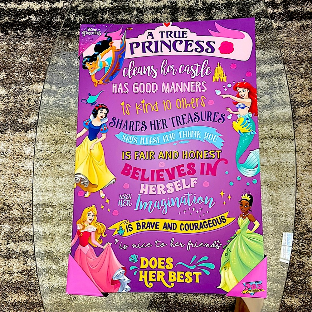 Disney Princess 16 in x 24 in Canvas Art